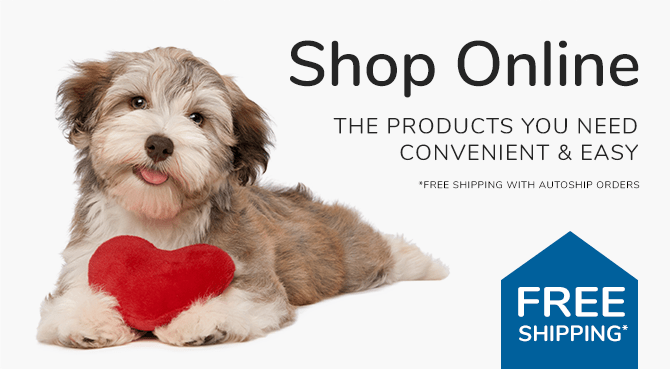 Shop Online at Westport Veterinary Associates in Fairfield County